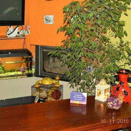 Honey Hostel Krakow Luaran gambar